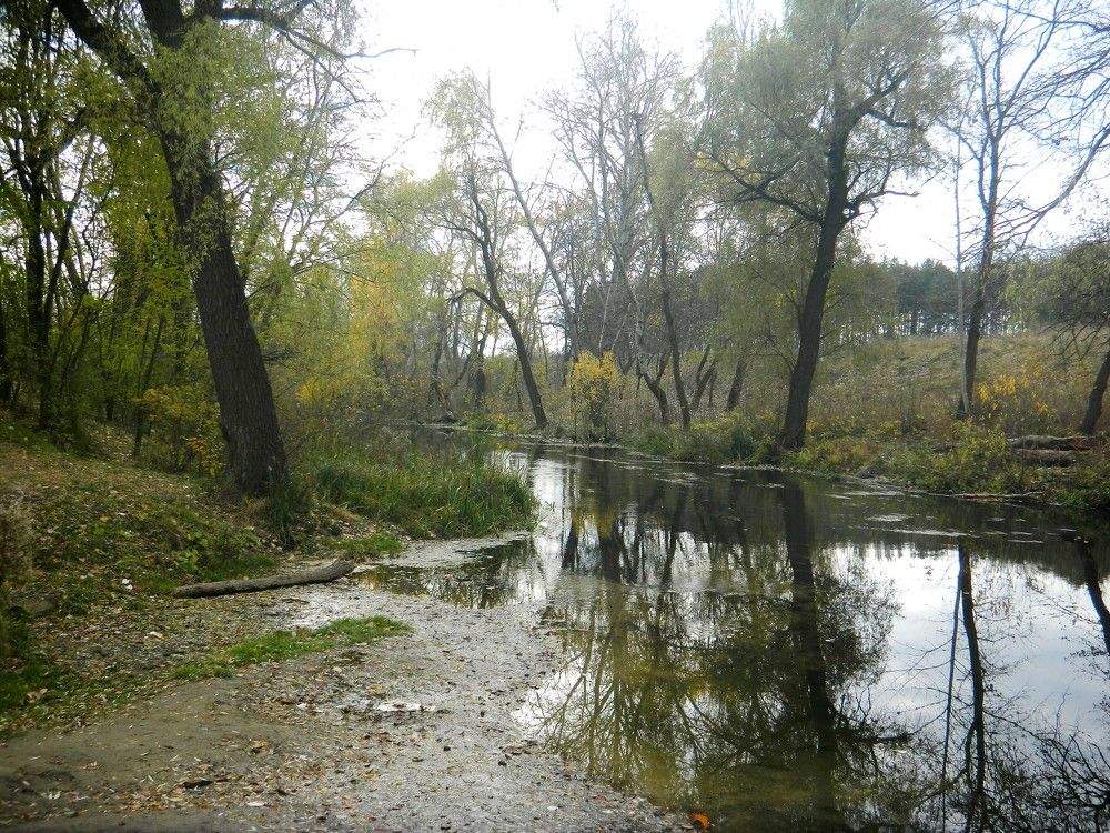 Photograph by Александр Кусенко