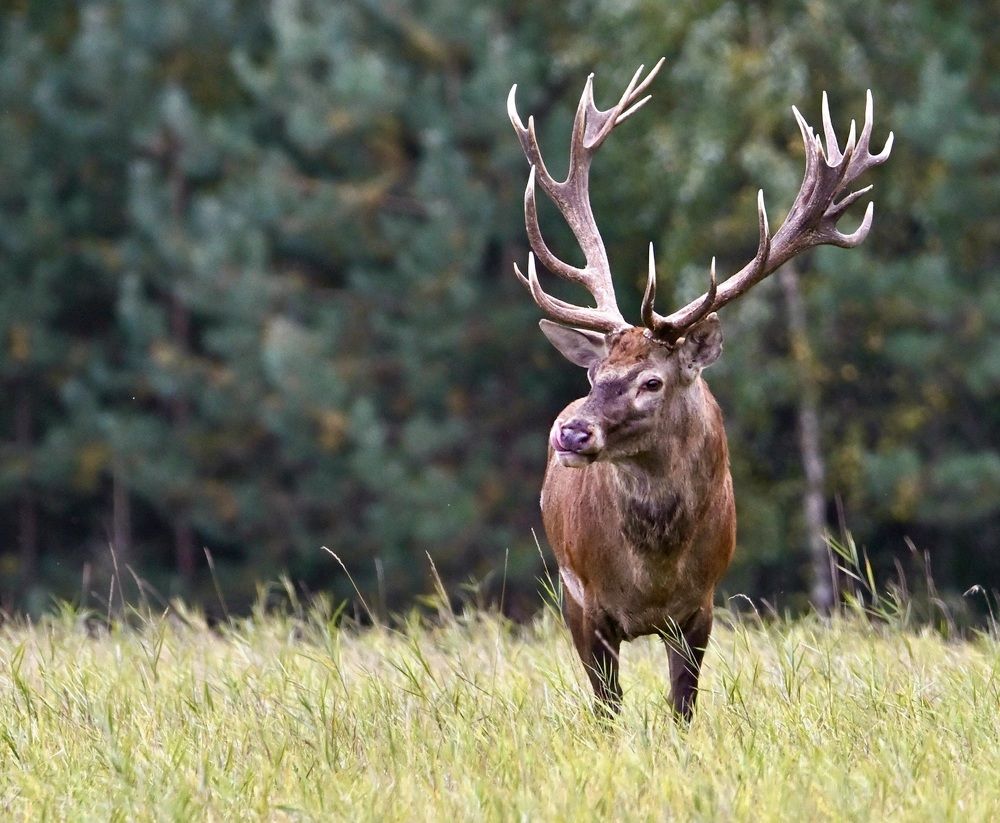 Photograph by Анатолий Андреев