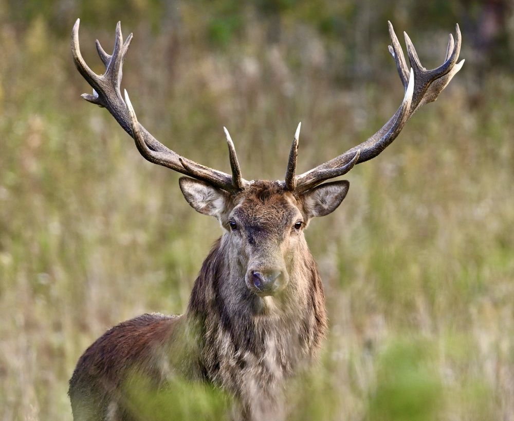 Photograph by Анатолий Андреев