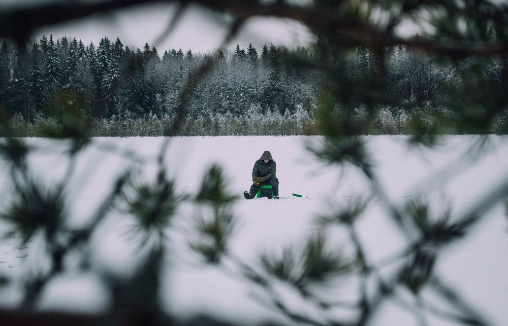 Photograph by Галина Беляева