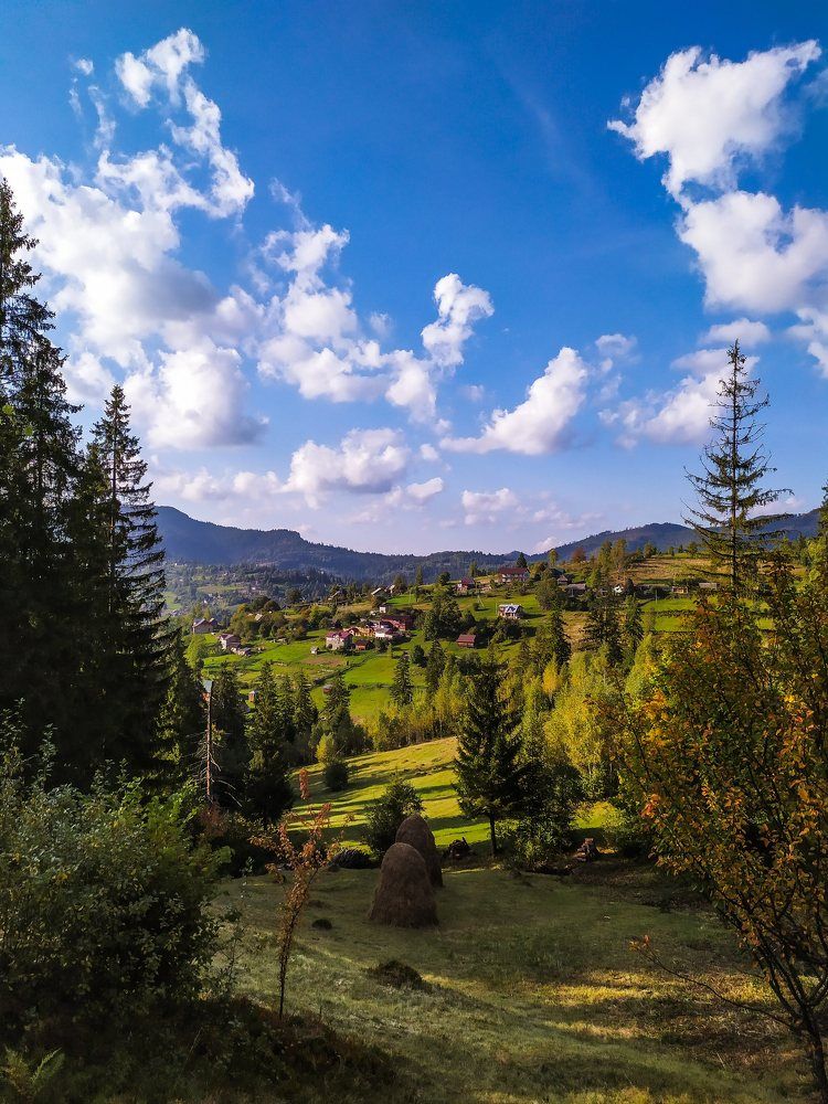 Photograph by Alekseeva Marina