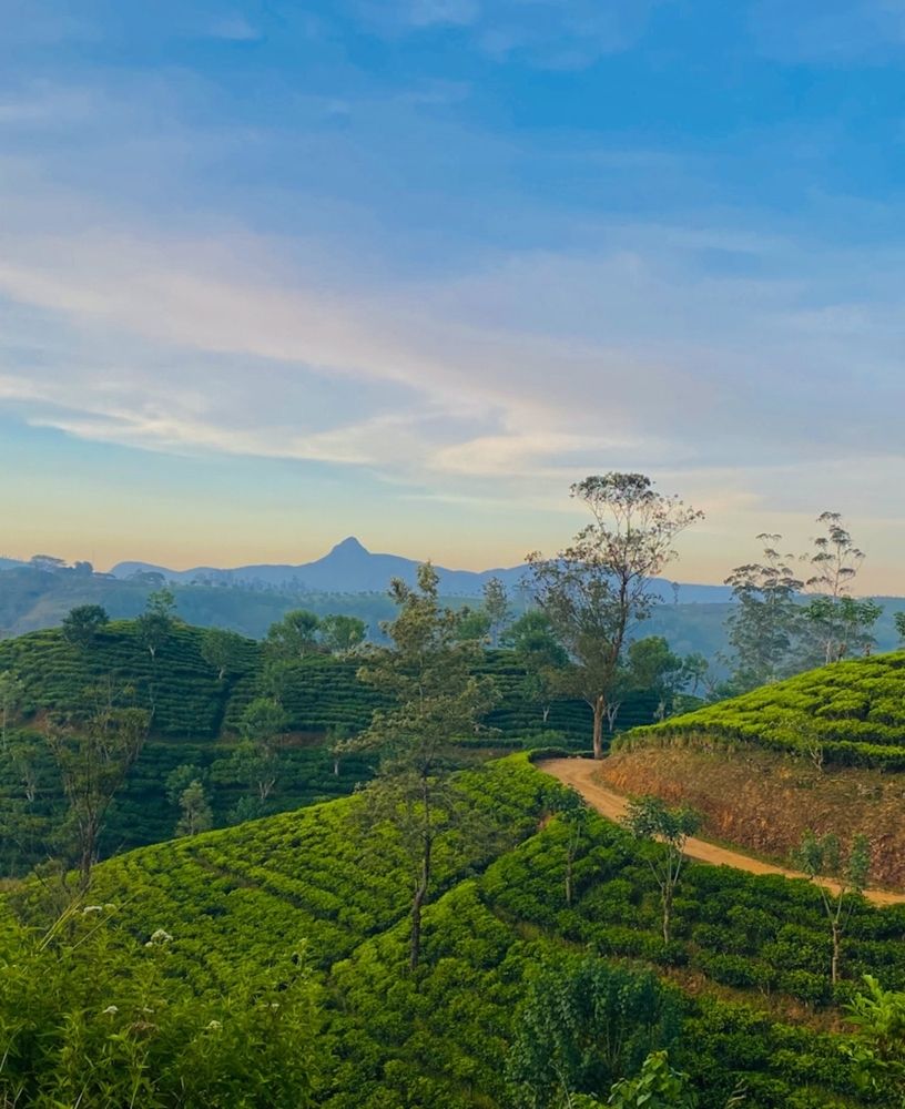 Photograph by Isuru Binduhewa