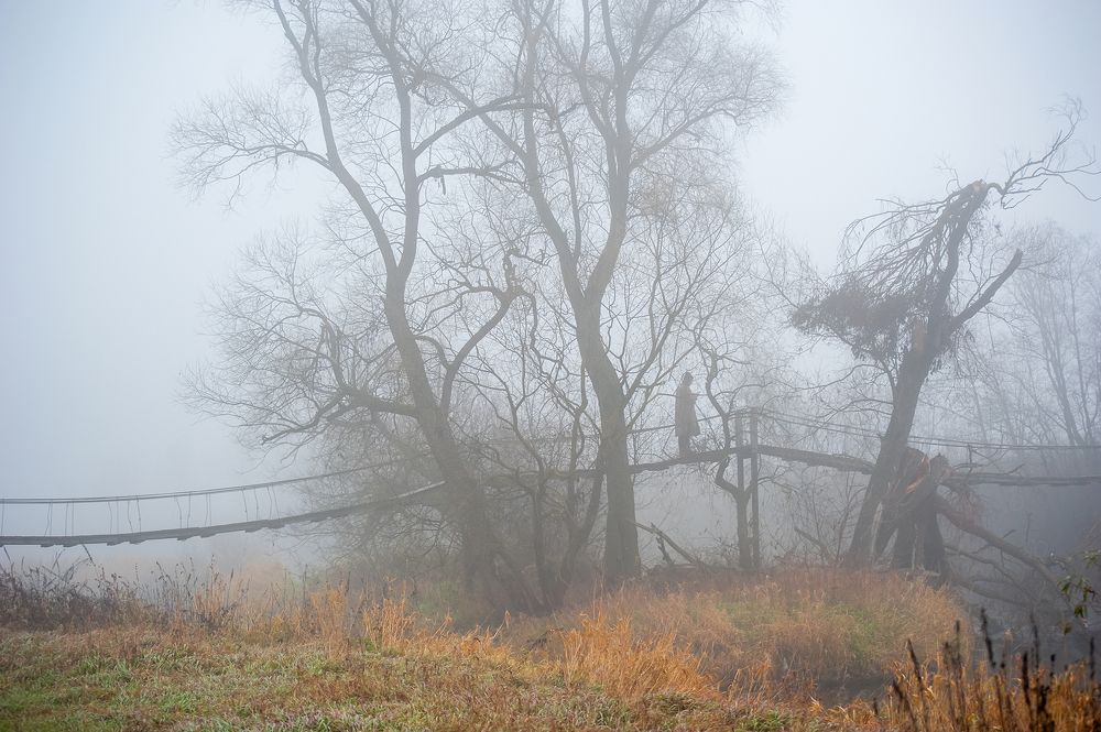 Фотография автора Ирина Макушина