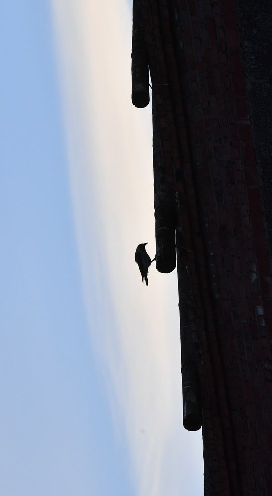 Photograph by Марина Пешкова