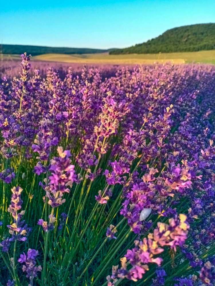 Photograph by Наталия Чайка