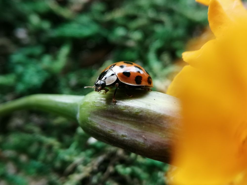 Photograph by Дарья Демина