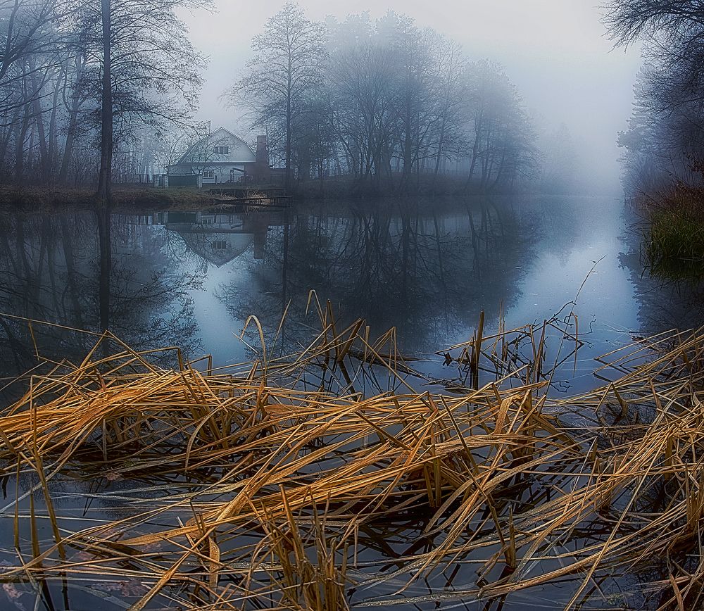 Photograph by Светлана Кравченко