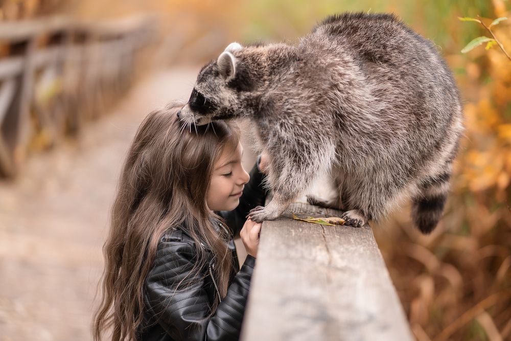 Photograph by Владимир Гордеев