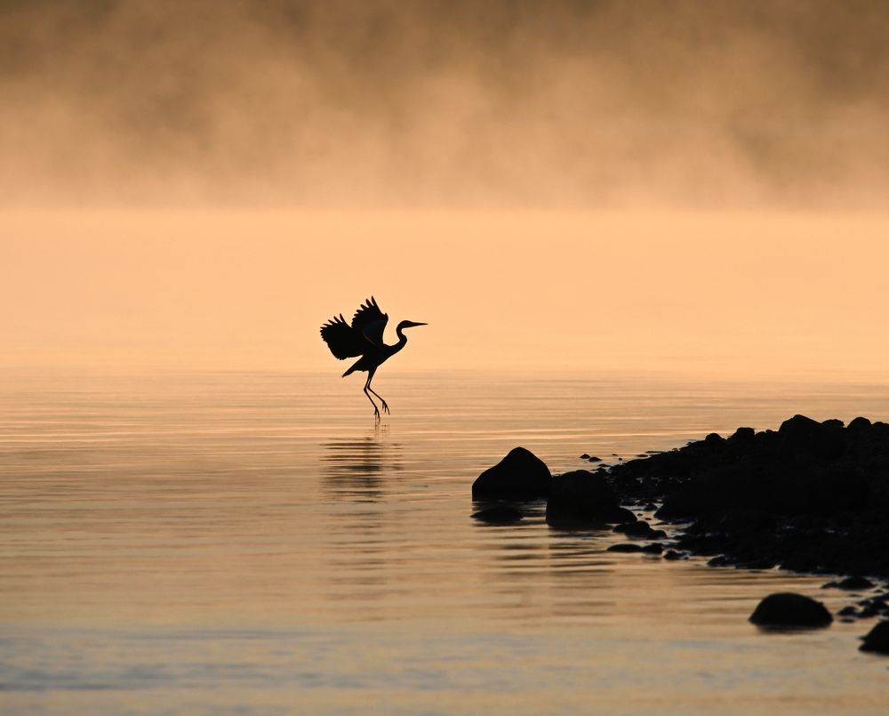 Photograph by Анатолий Андреев