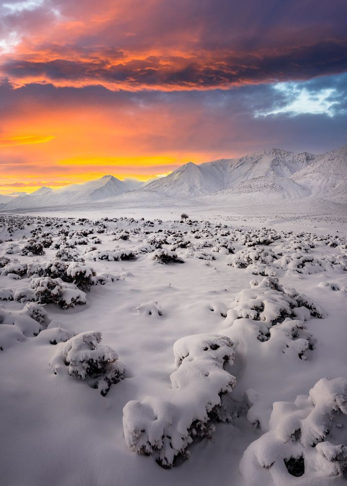 Photograph by majid arab