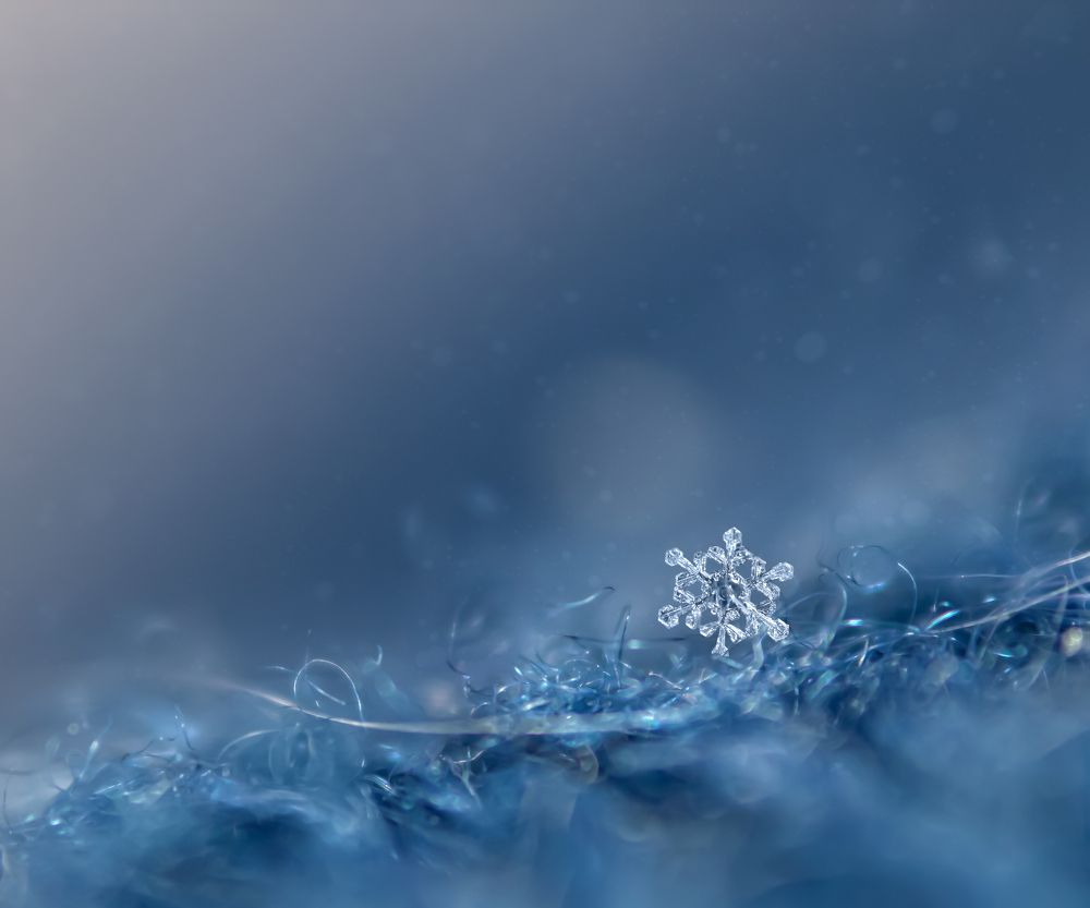 Photograph by Татьяна Метельская