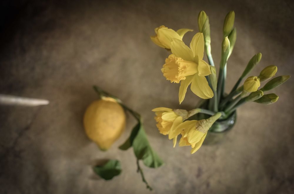 Photograph by Луиза Хисамутдинова