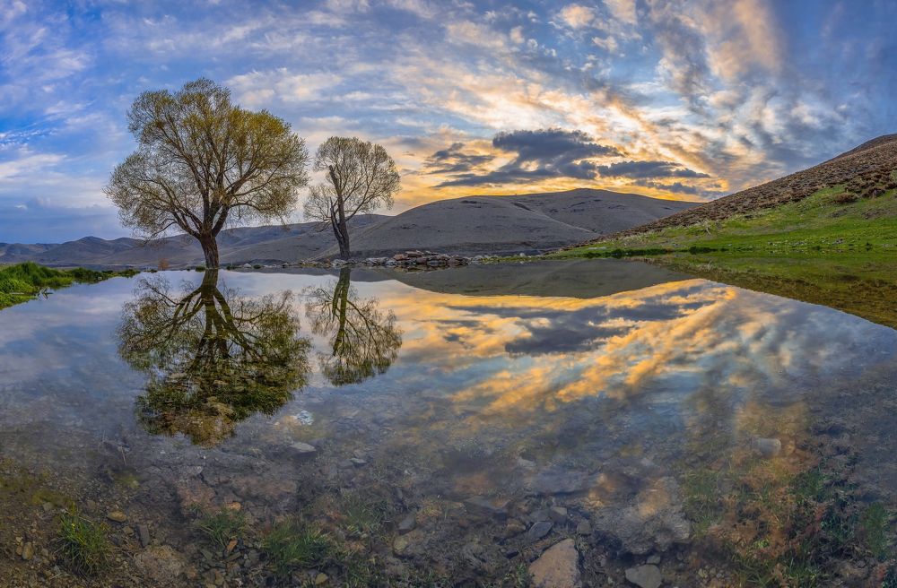 Фотография автора majid arab