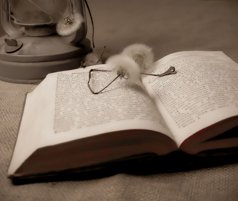 За чтением книги о происхождении всех вещей