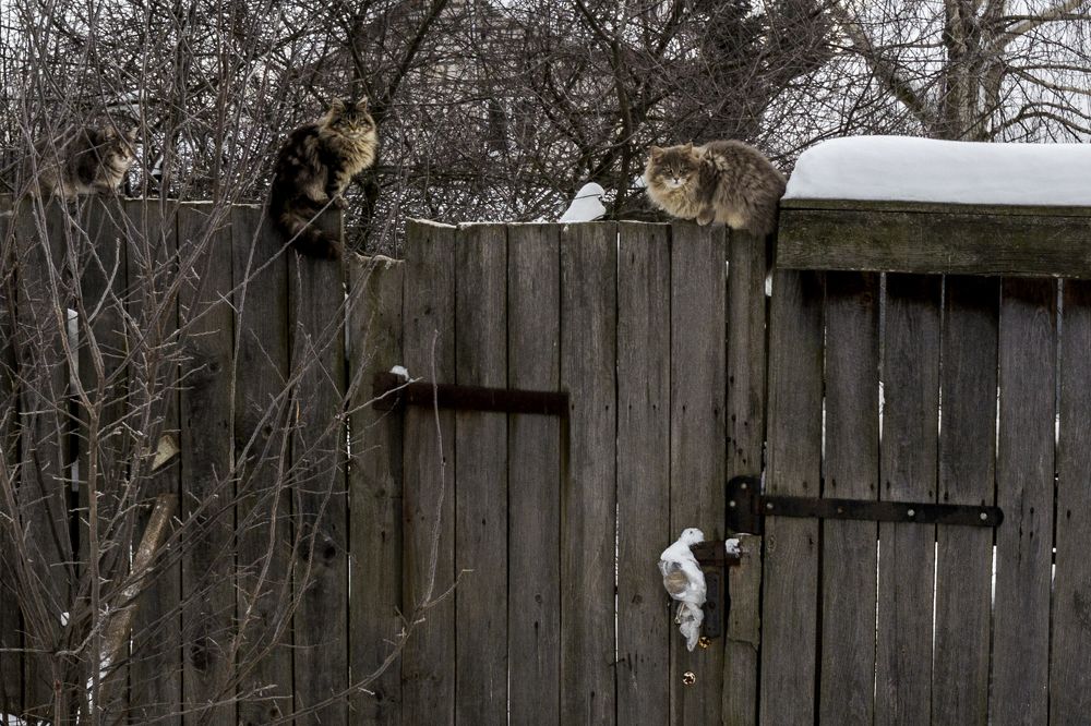 Photograph by Грашин Игорь Алексеевич