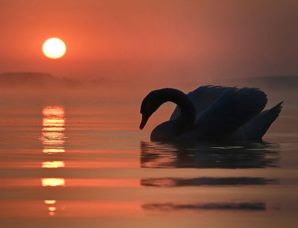 Photograph by Анатолий Андреев