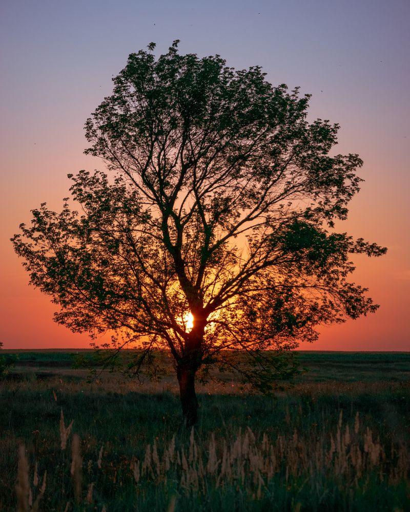 Мистическое утро