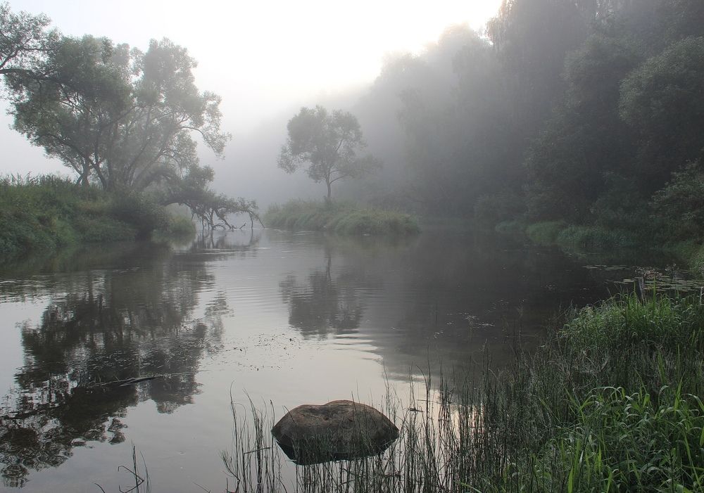 Photograph by Суетинов Евгений