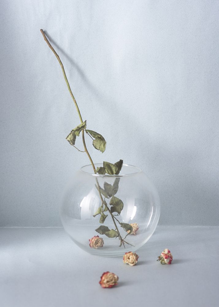 Photograph by Manuele Silvio