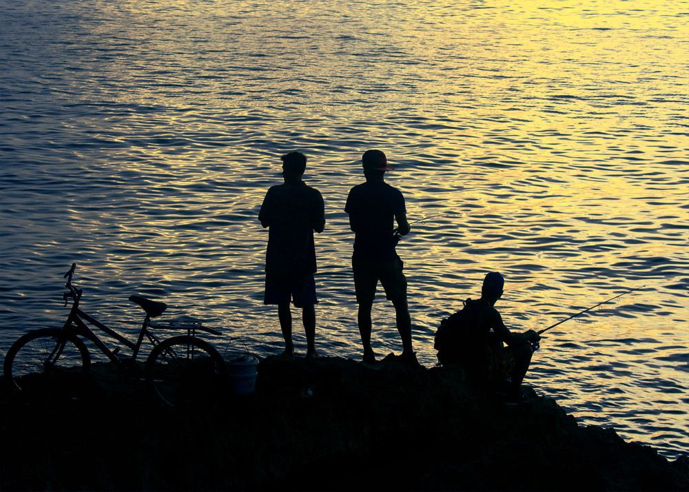 Photograph by Alejandro Benítez Guerra