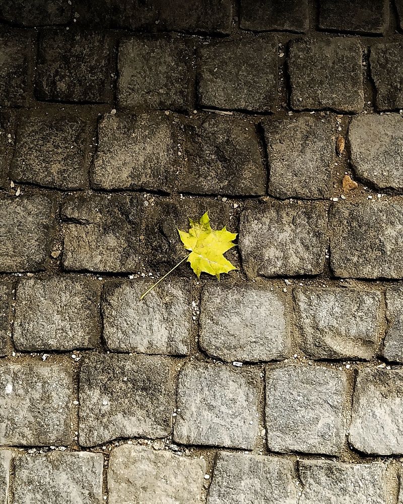 Photograph by  Пастен