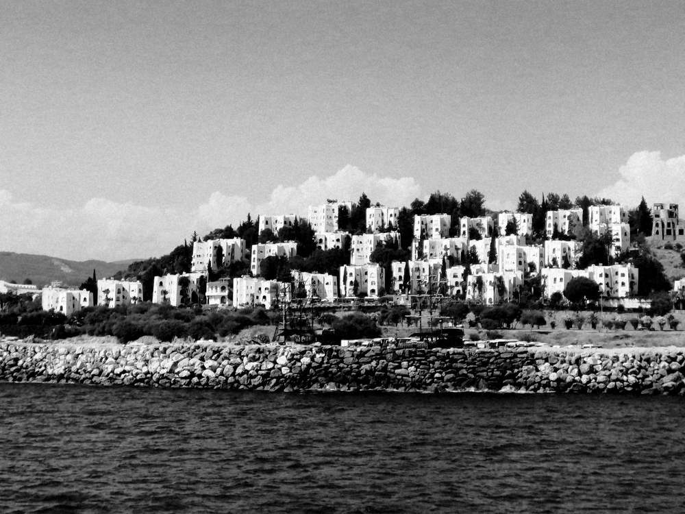 Photograph by Алёна