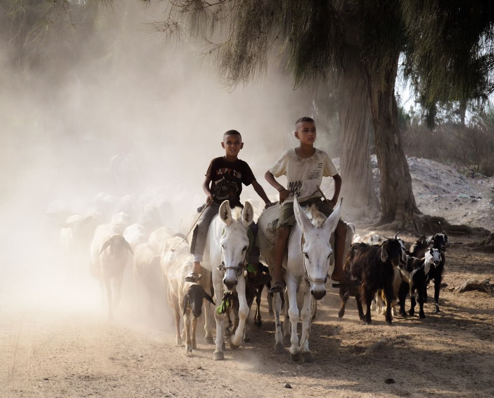 Фотография автора Ahmed Flex