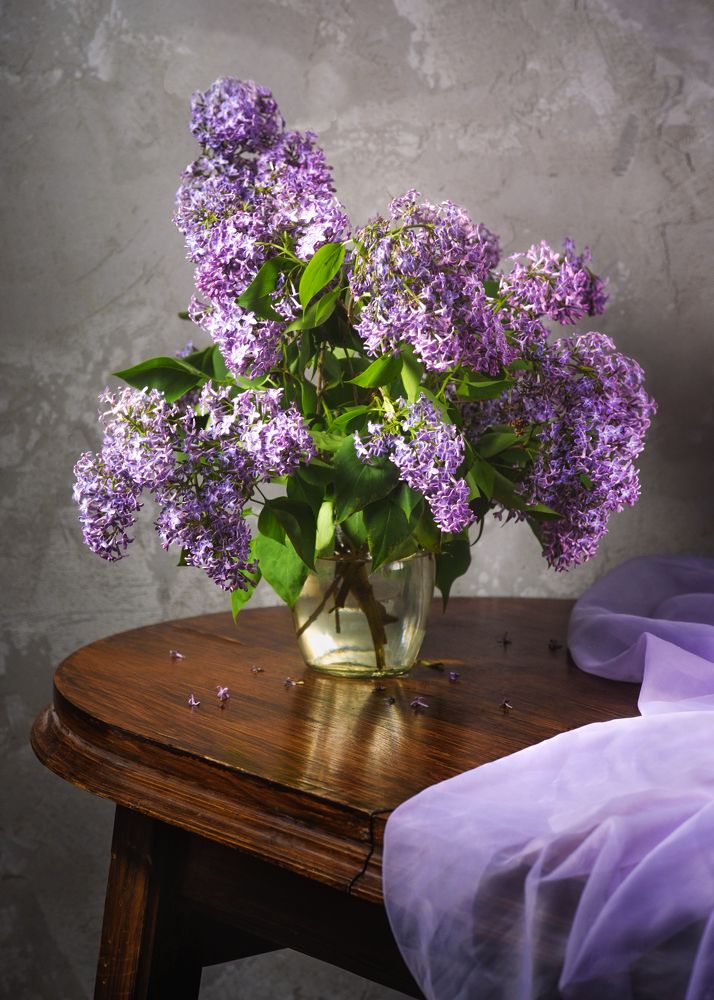 Photograph by Manuele Silvio