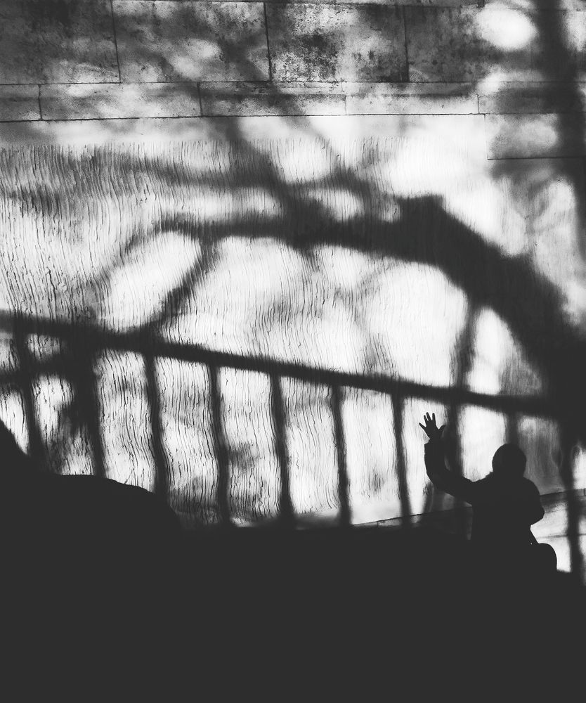 Photo #7357286
