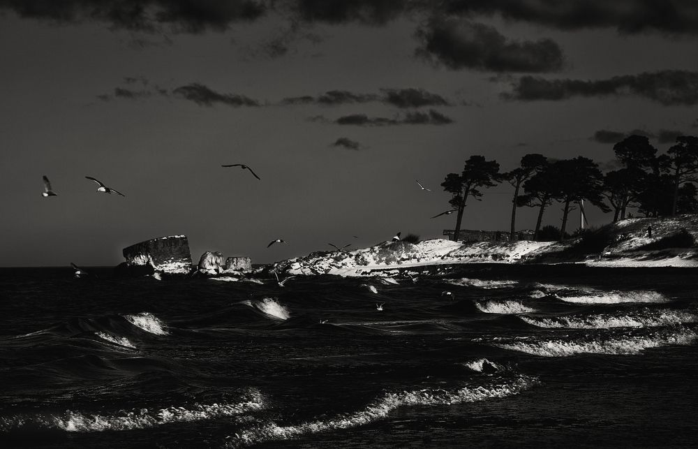 Photograph by Snezhana Litvinova