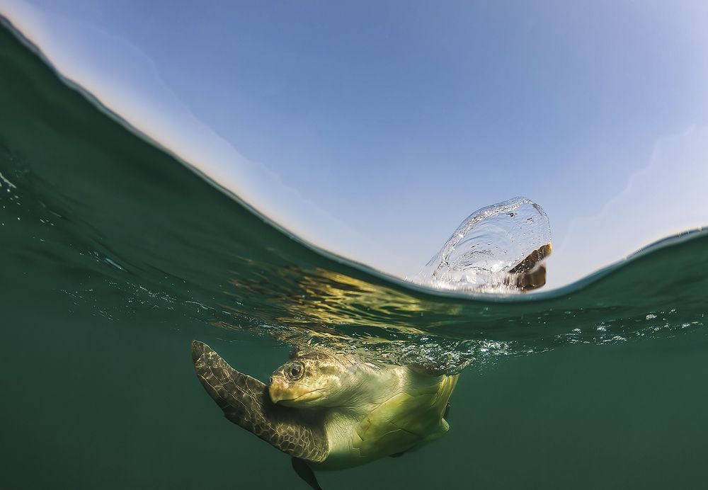 Photograph by Rajarshi Banerji