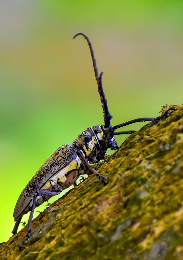 Photograph by SAIKAT PAL