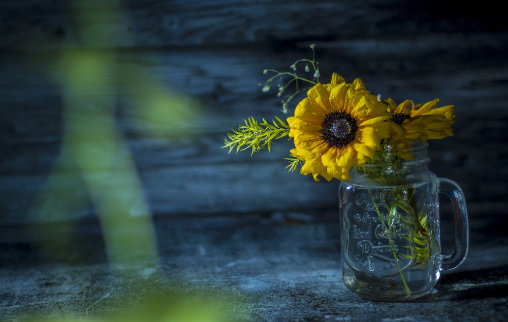 Photograph by Dipankar Paul