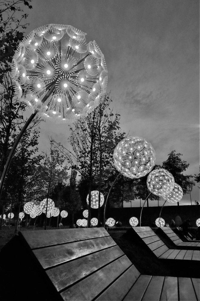 Photograph by Ольга Сергиенко