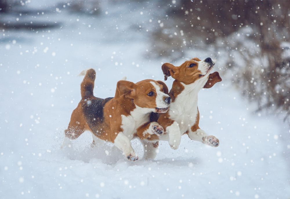 Фотография автора Katerina Mumzhinskaya