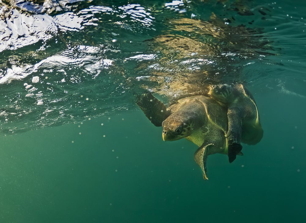 Photograph by Rajarshi Banerji