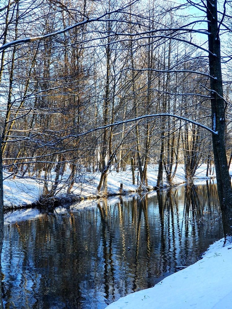 Фотография автора Мария Рудаковская