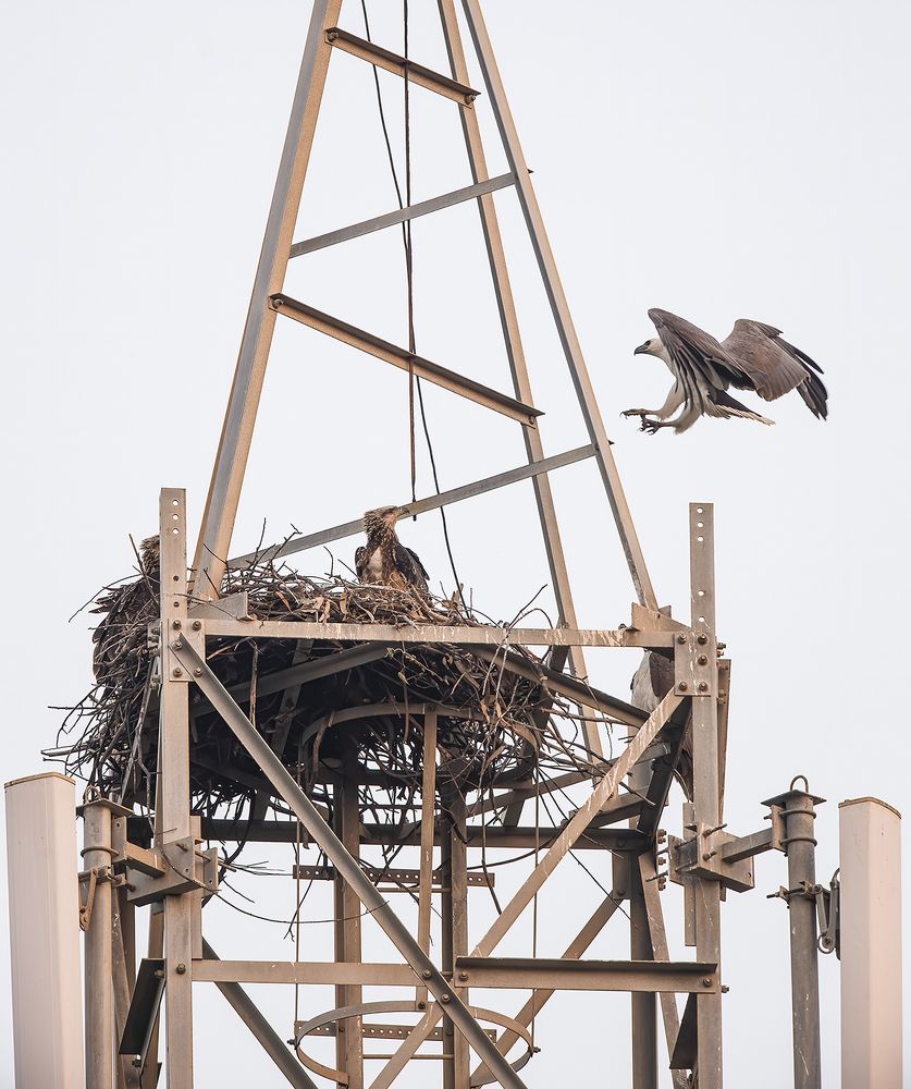 Photograph by Rajarshi Banerji
