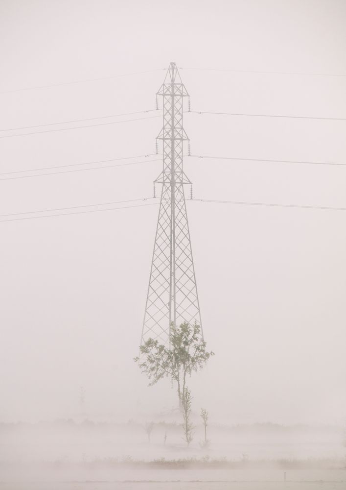 Photograph by amin kojoori