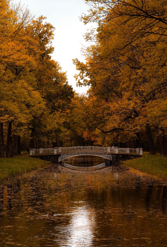 Photograph by Александр Державин