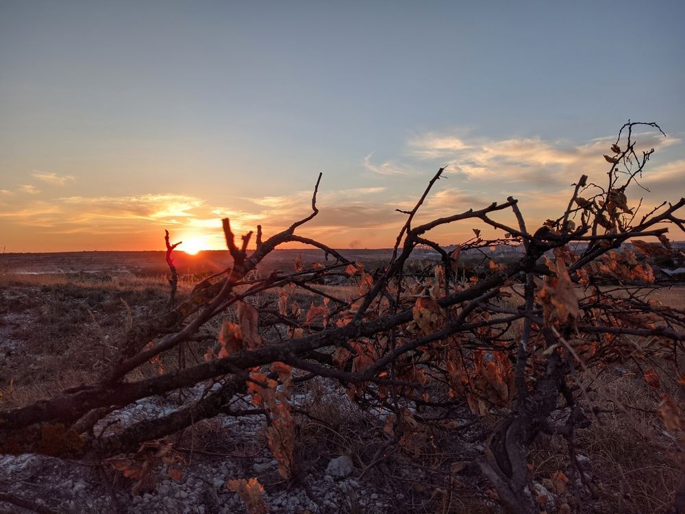 Photograph by Юлия Кононова