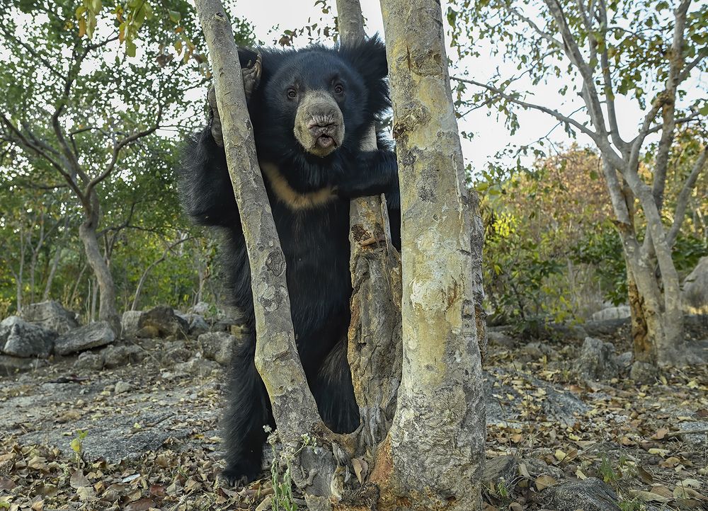 Photograph by Rajarshi Banerji