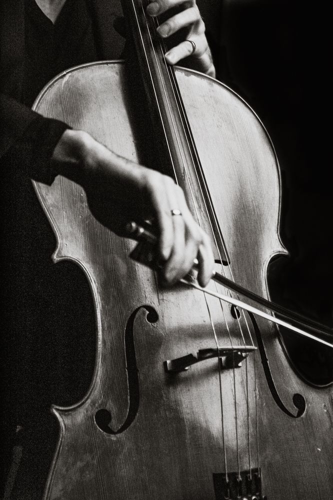 Фотография автора Ольга