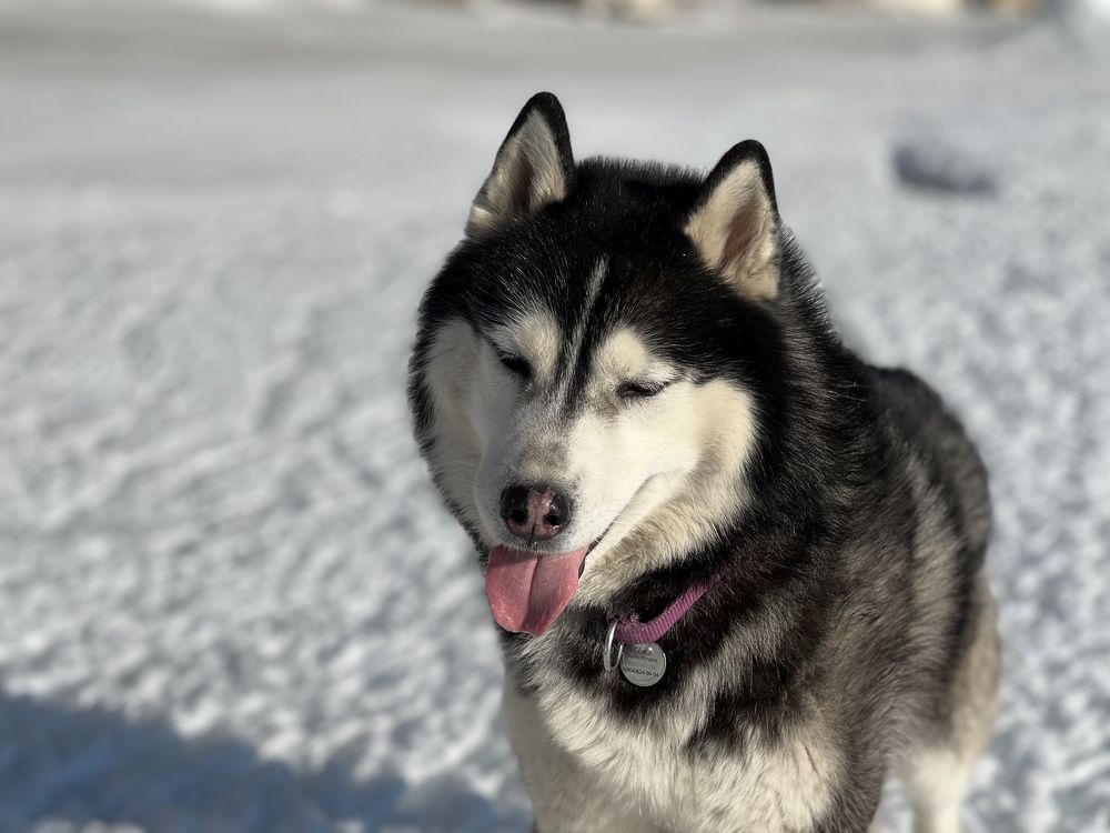 Photograph by Константин Нагорняк