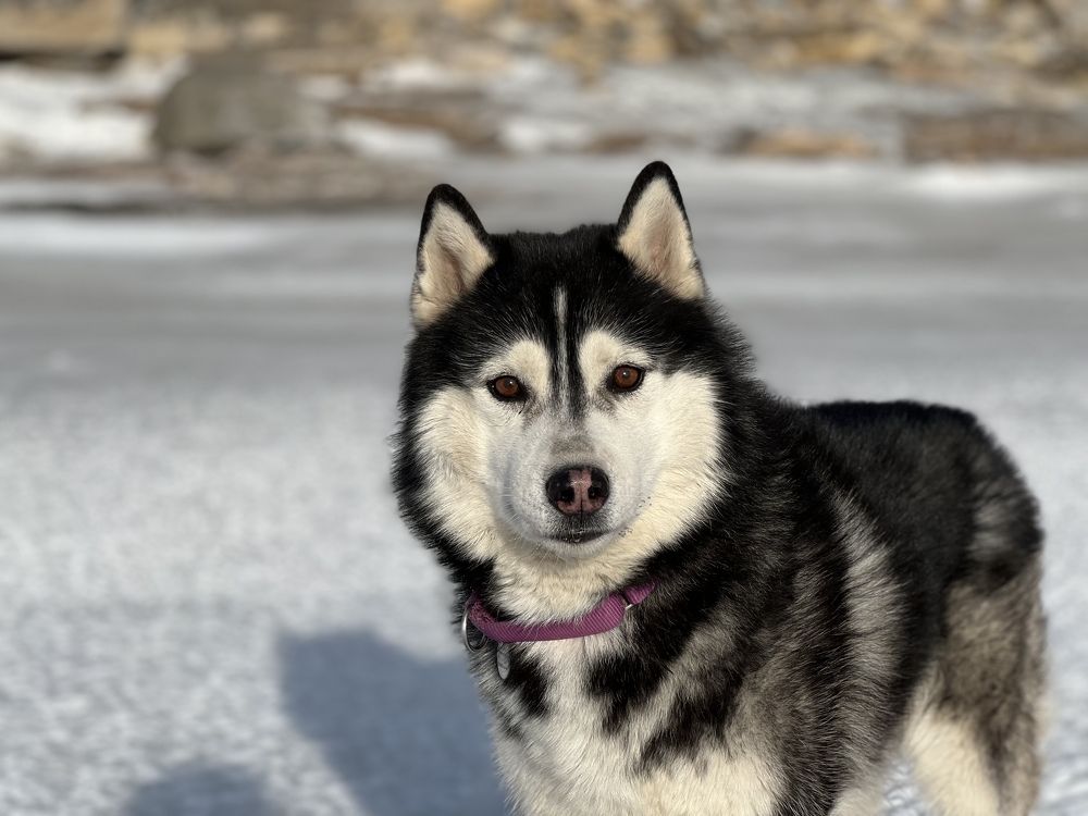 Photograph by Константин Нагорняк