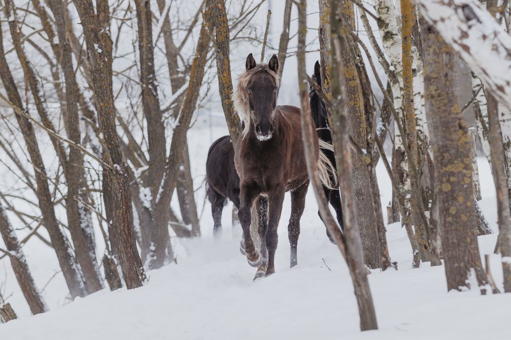 Photograph by Марина Кирпичникова