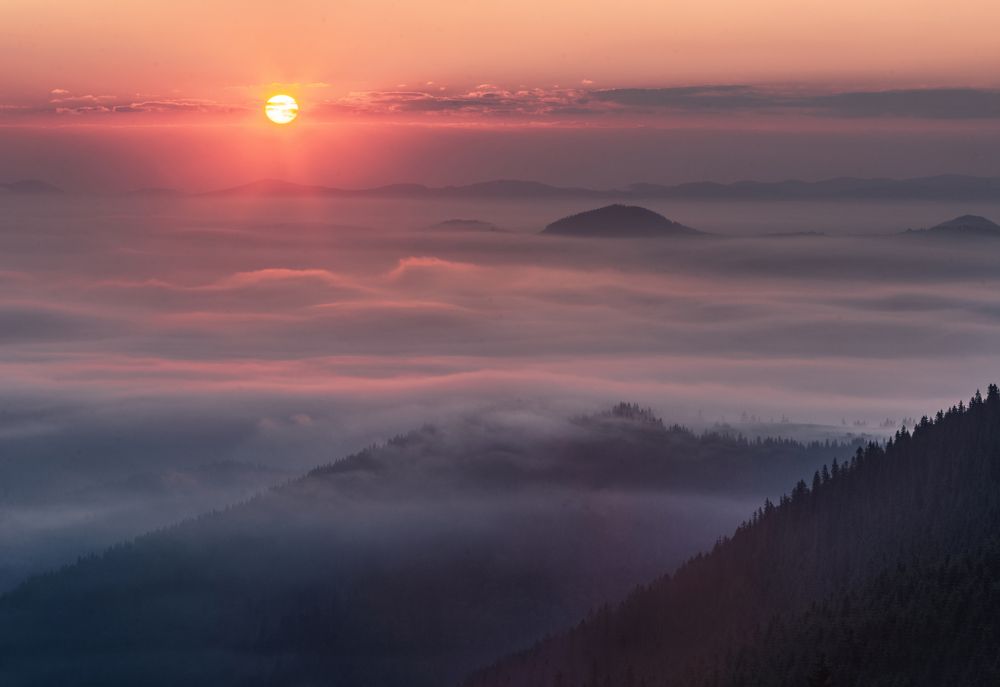 Photograph by Сергій Радчук