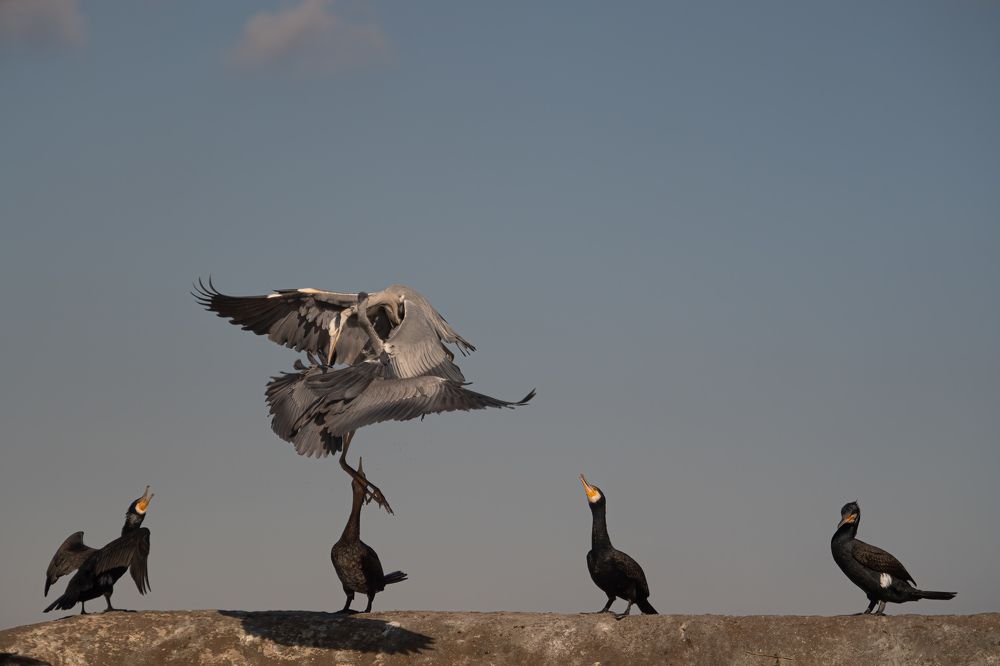 Photograph by Alena Bednarova