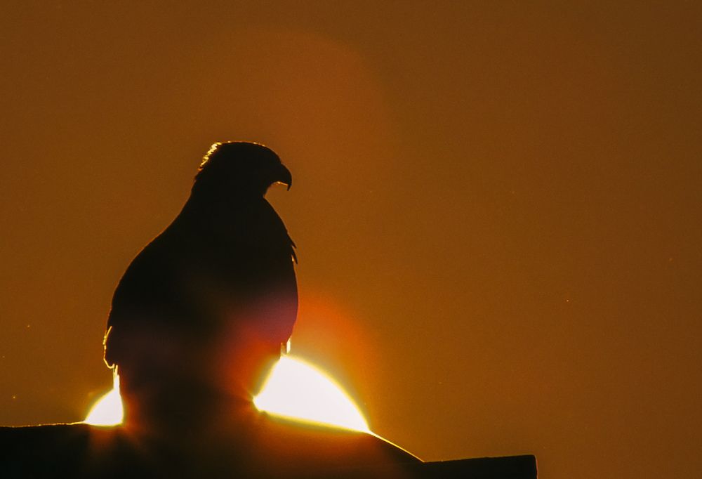 Photograph by Ayan Kumar Das