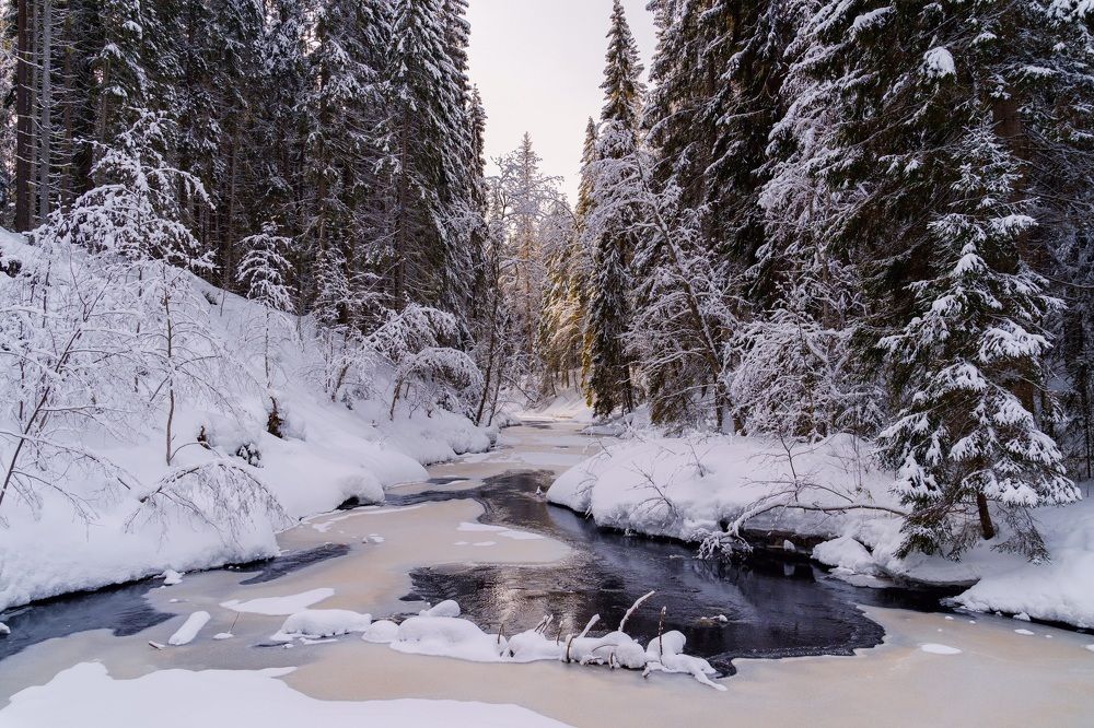 Photograph by Алена Устинович